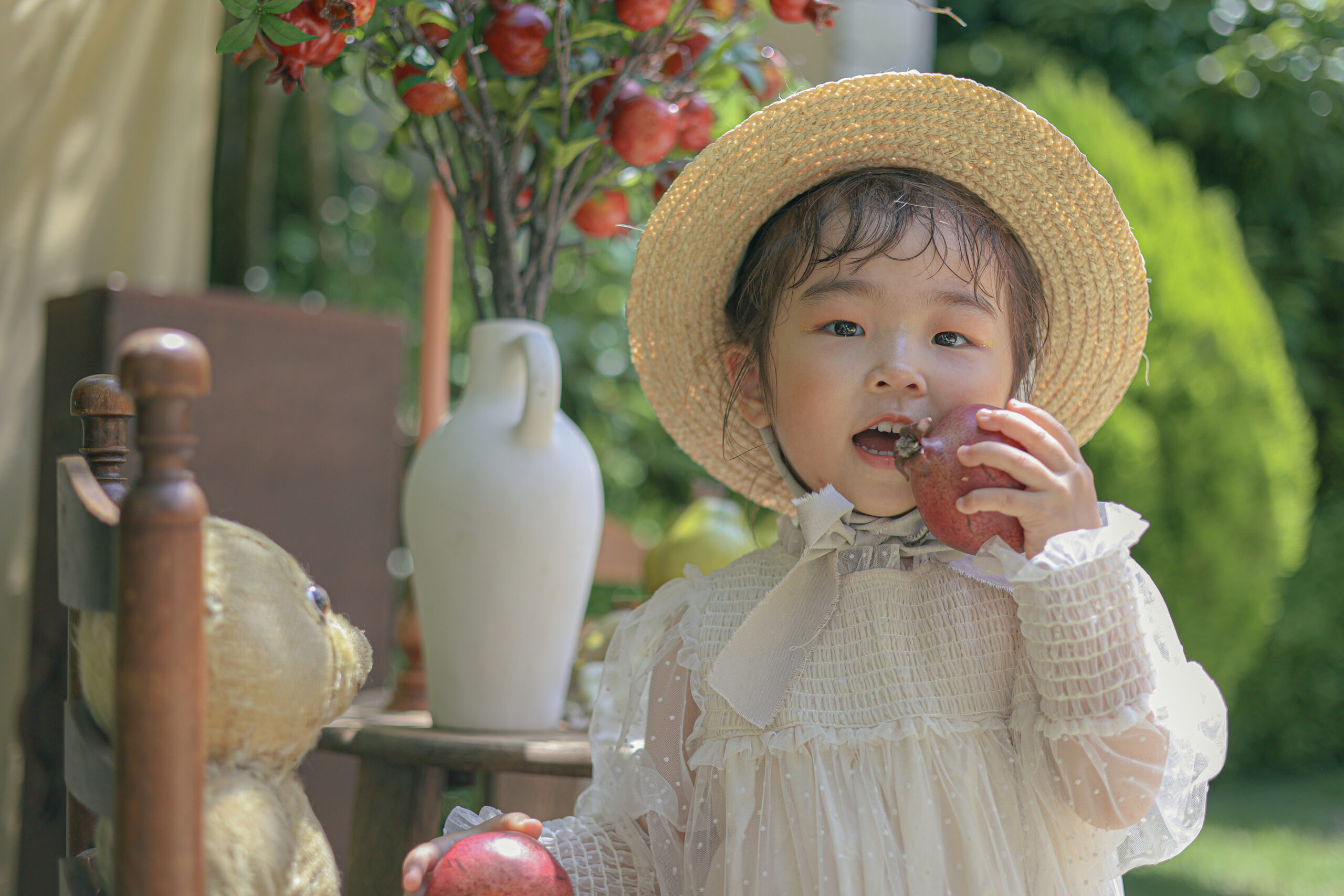 フォトギャラリー