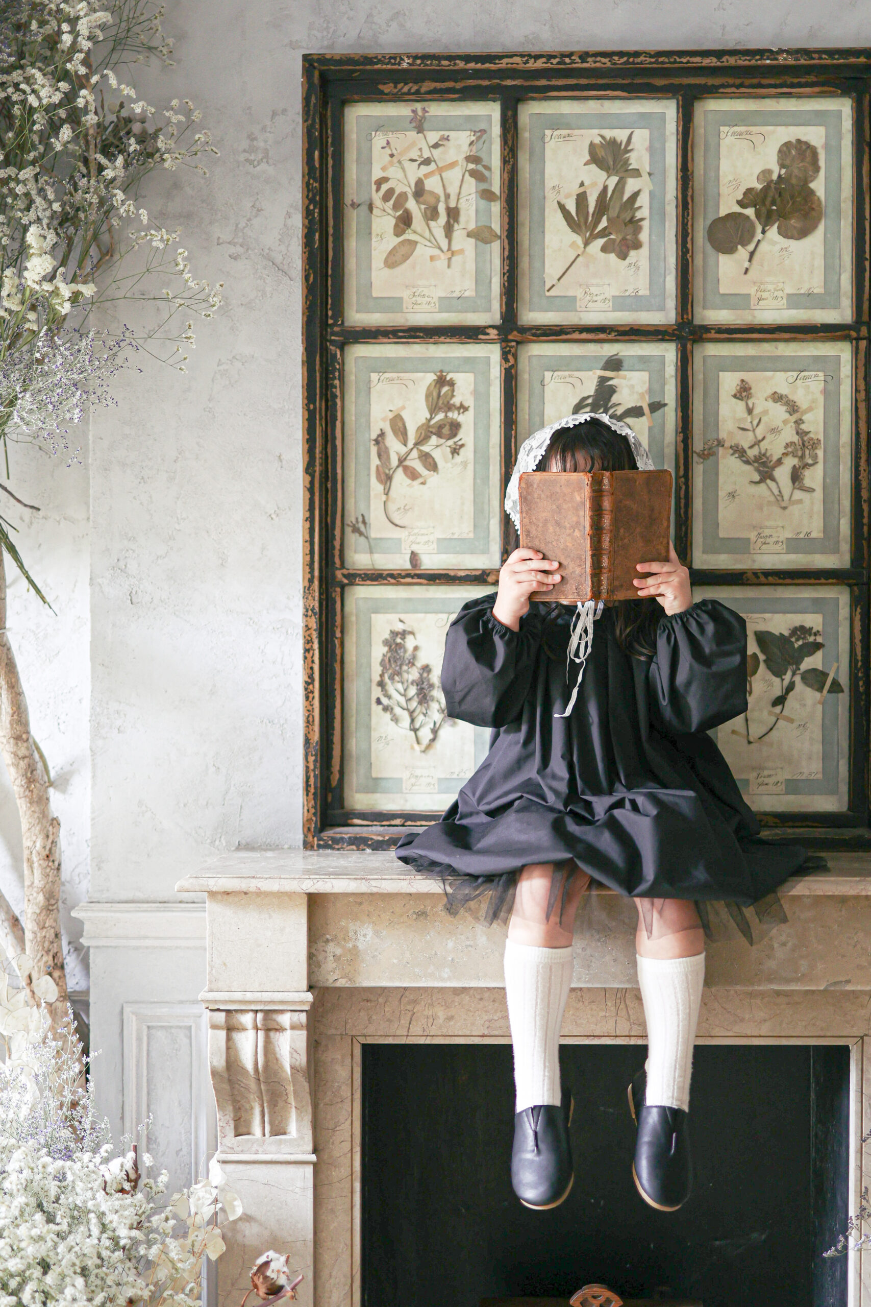 フォトギャラリー