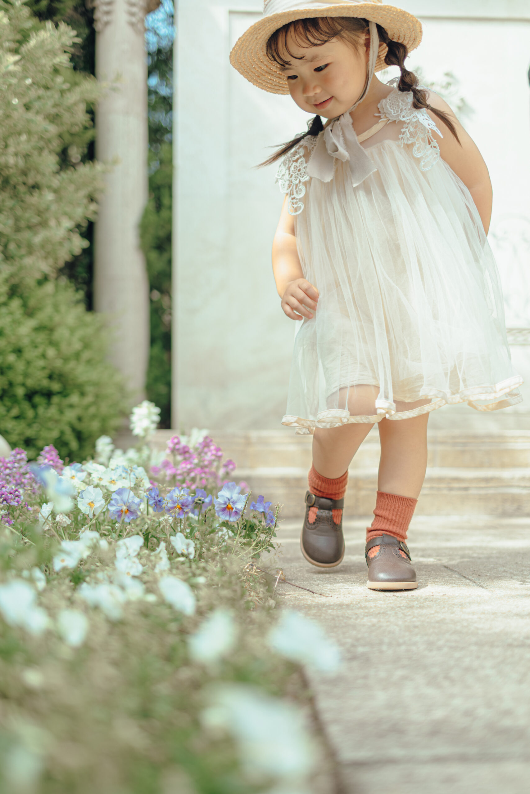 フォトギャラリー